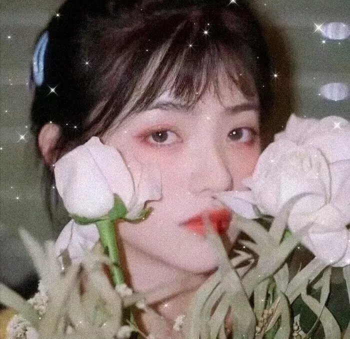 蒂科与鲨鱼