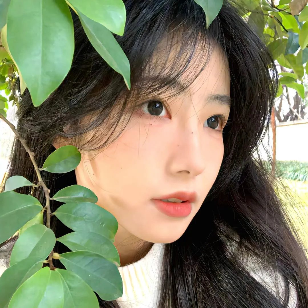 特战荣耀