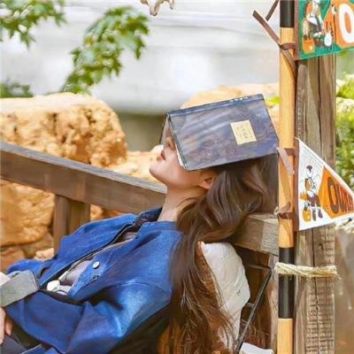 黑道小子巨星梦