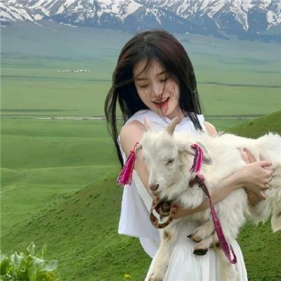 追爱四人行